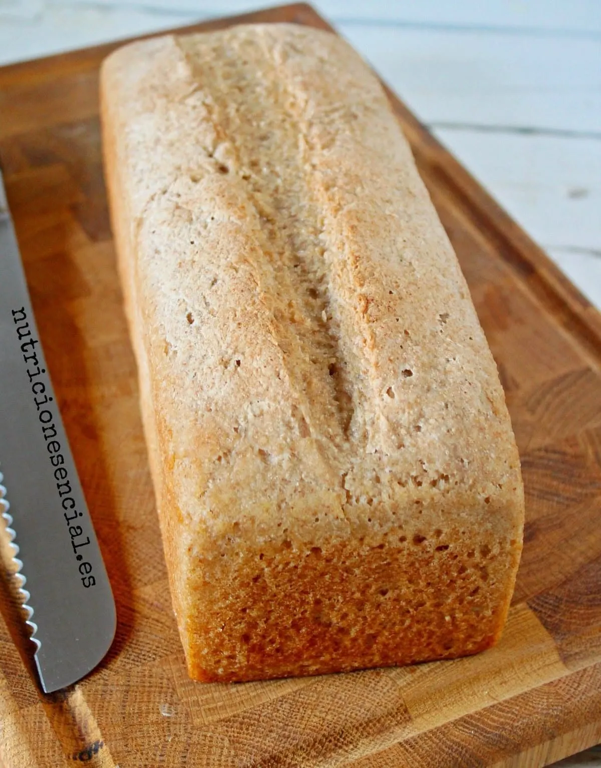 Gluten-free sandwich bread